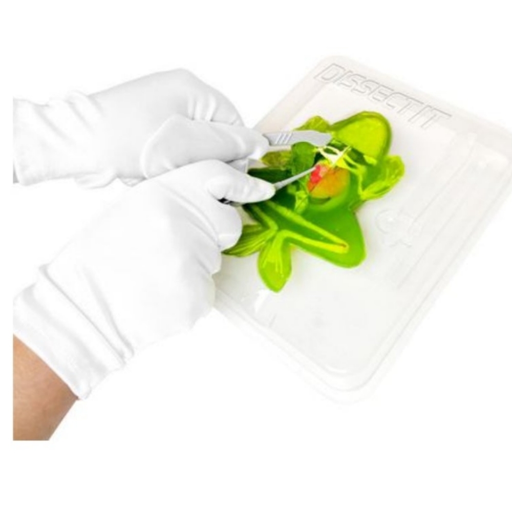 Frog Dissection Kit - Picture 5 of 5